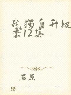 我独自升级第一季12集