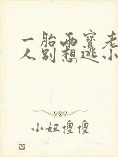 一胎两宝老婆大人别想逃小说全文免费阅读