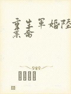 重生军婚陆北骁叶乔