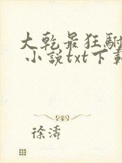 大乾最狂驸马爷 小说txt下载