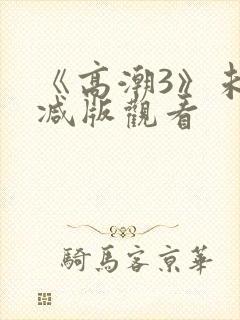 《高潮3》未删减版观看