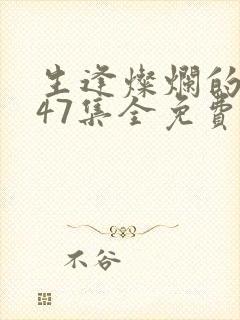 生逢灿烂的日子47集全免费观看