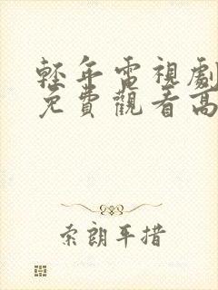 轻年电视剧全集免费观看高清版封面