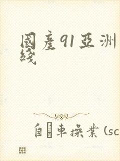 国产91亚洲在线封面