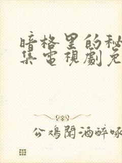 暗格里的秘密全集电视剧免费观看