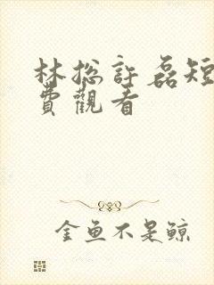 林总许磊短剧免费观看