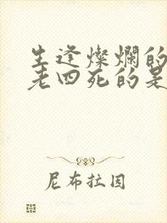 生逢灿烂的日子老四死的是哪一集