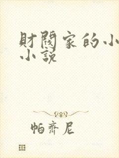 财阀家的小女儿小说