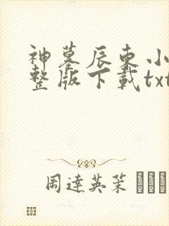 神墓辰东小说完整版下载txt