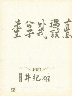 老公外遇有了私生子我该怎么办