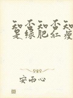 知否知否知否应是绿肥红瘦 原著