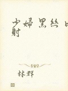 少妇 黑丝 内射