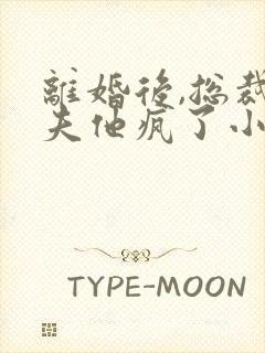 离婚后,总裁前夫他疯了小封面