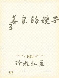 善良的嫂子中文3封面