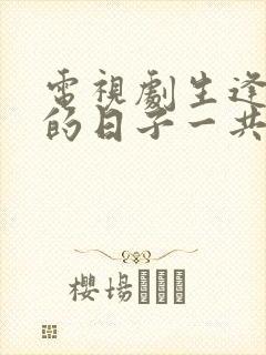 电视剧生逢灿烂的日子一共多少集