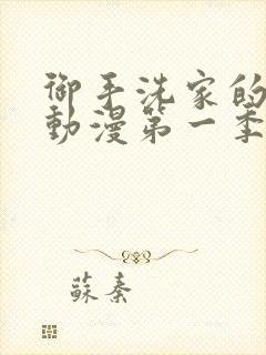 御手洗家的破洞动漫第一季封面