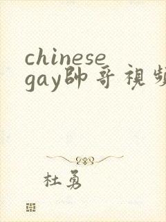 chinesegay帅哥视频
