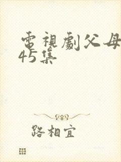电视剧父母爱情45集