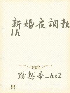 新婚夜调教1v1h