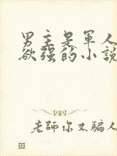 男主是军人占有欲强的小说封面