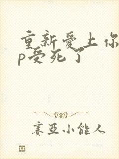 重新爱上你副cp受死了封面