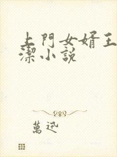 上门女婿王浩李洁小说