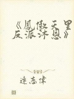 《凤傲天里黄毛反派沐恩》