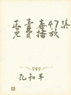 正青春47集全免费播放