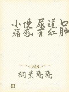 小便尿道口有刺痛感有红肿