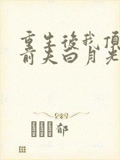 重生后我顶替了前夫白月光免费小说