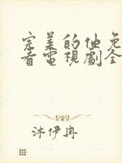 完美的他免费观看电视剧全集封面