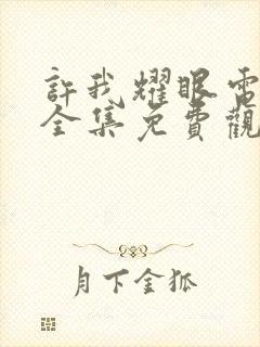 许我耀眼电视剧全集免费观看完整版