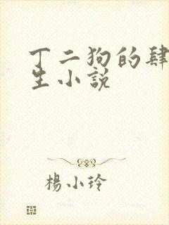 丁二狗的肆意人生小说封面