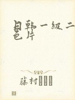 日韩一级二级黄色片