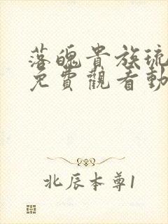 落魄贵族琉璃川免费观看动漫版