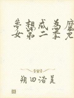 梦想成为魔法少女第二季免费观看