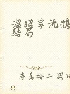 温昭宁沈鹤川大结局封面