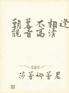 朝暮不相逢短剧观看高清