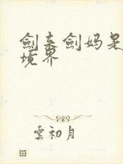 剑来剑妈是什么境界