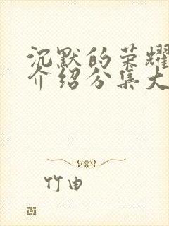 沉默的荣耀剧情介绍分集大结局