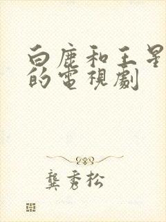 白鹿和王星越演的电视剧