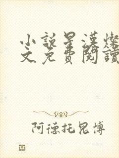 小说星汉灿烂全文免费阅读