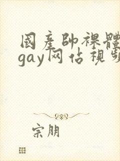 国产帅裸体男模gay网站视频