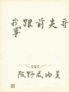 我跟前夫哥那点事封面