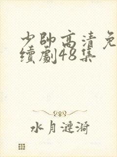 少帅高清免费连续剧48集