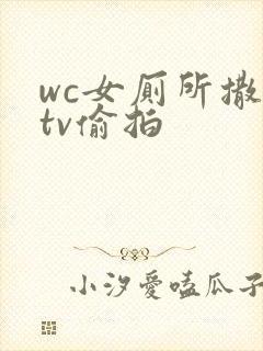 wc女厕所撒尿tv偷拍