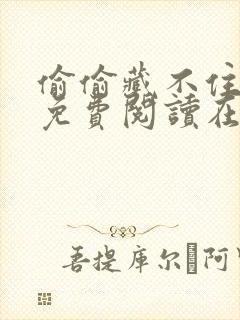 偷偷藏不住小说免费阅读在线