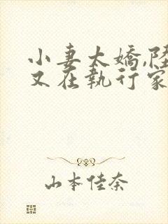 小妻太娇,陆爷又在执行家法 晏清清封面