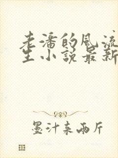 老潘的风流下半生小说最新章节更新内容