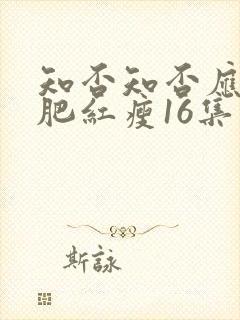 知否知否应是绿肥红瘦16集